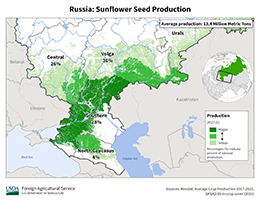 images\RS\cropprod\Russia_Sunflowerseed_preview.jpg